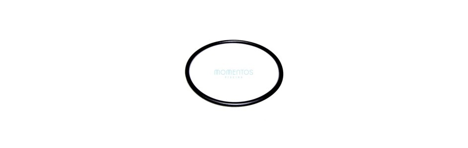 Astralpool Victoria Plus pre-filter gasket