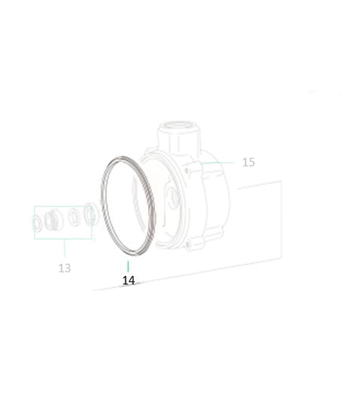 Sigma 100 Impeller body seal