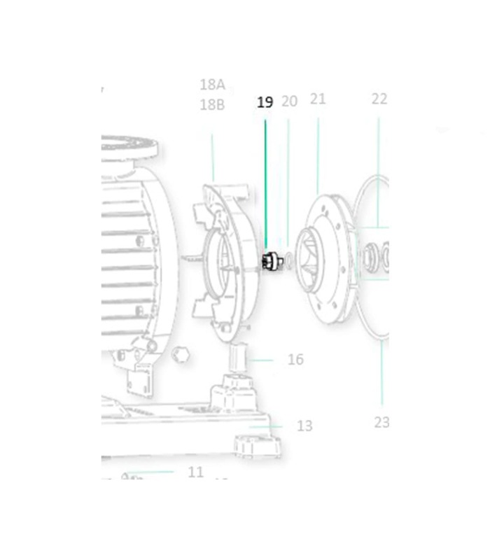 Saci Magnus gesp plug