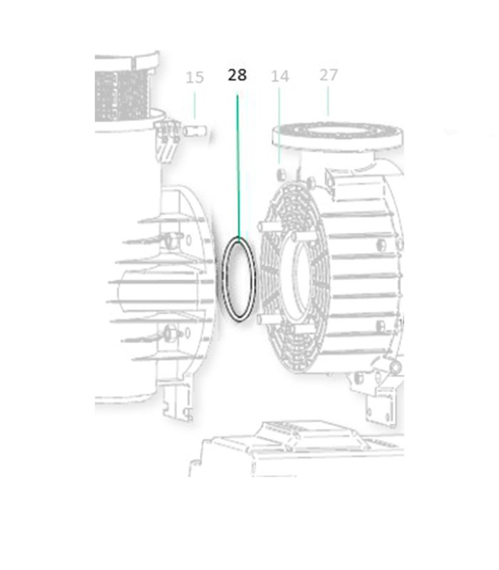 Junta tapa cuerpo Saci Magnus